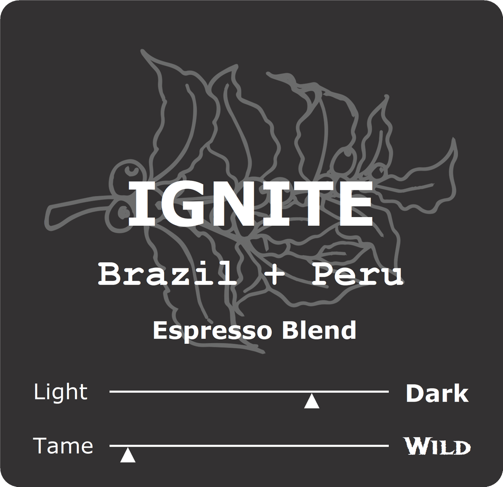 Ignite — Broad Street Grind